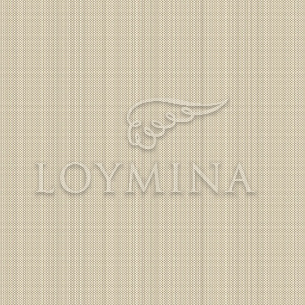 Обои Loymina арт Jet2 012/1 фото 1