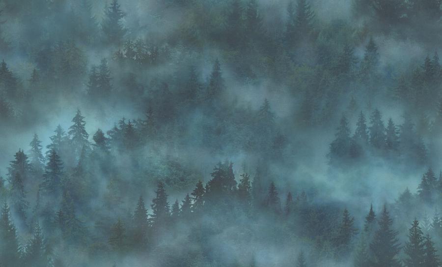 Обои Palitra Home арт HC71960-67 фото 1