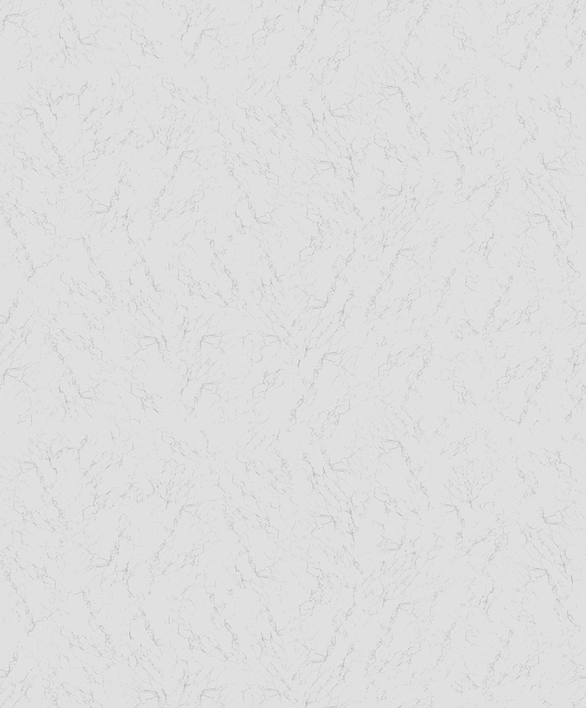 Обои VOG Collection арт VC8603-14 фото 1