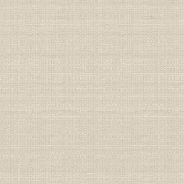 Обои Sirpi арт 1VP 24920 фото 1