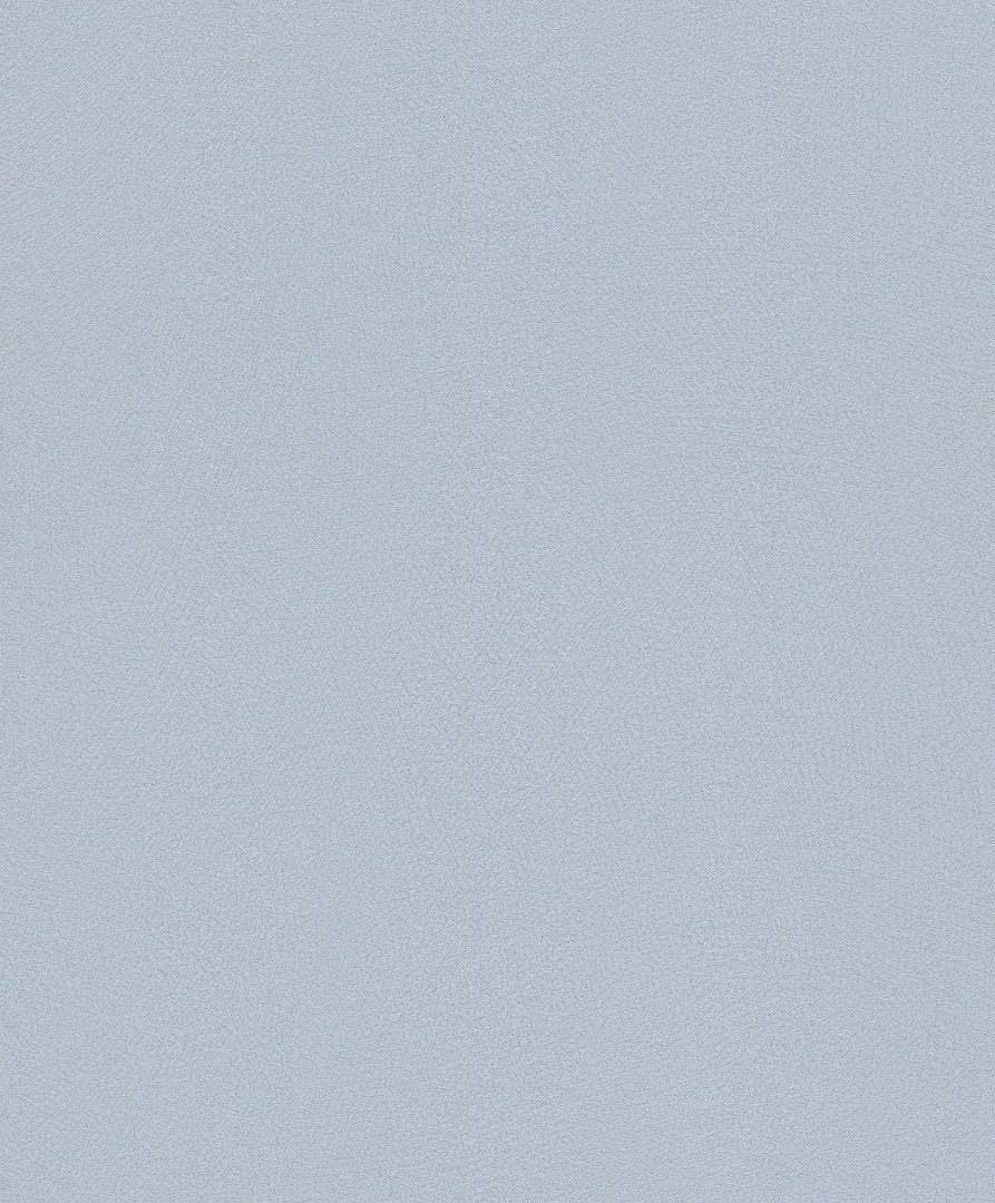 Обои Rasch арт 610147 фото 1