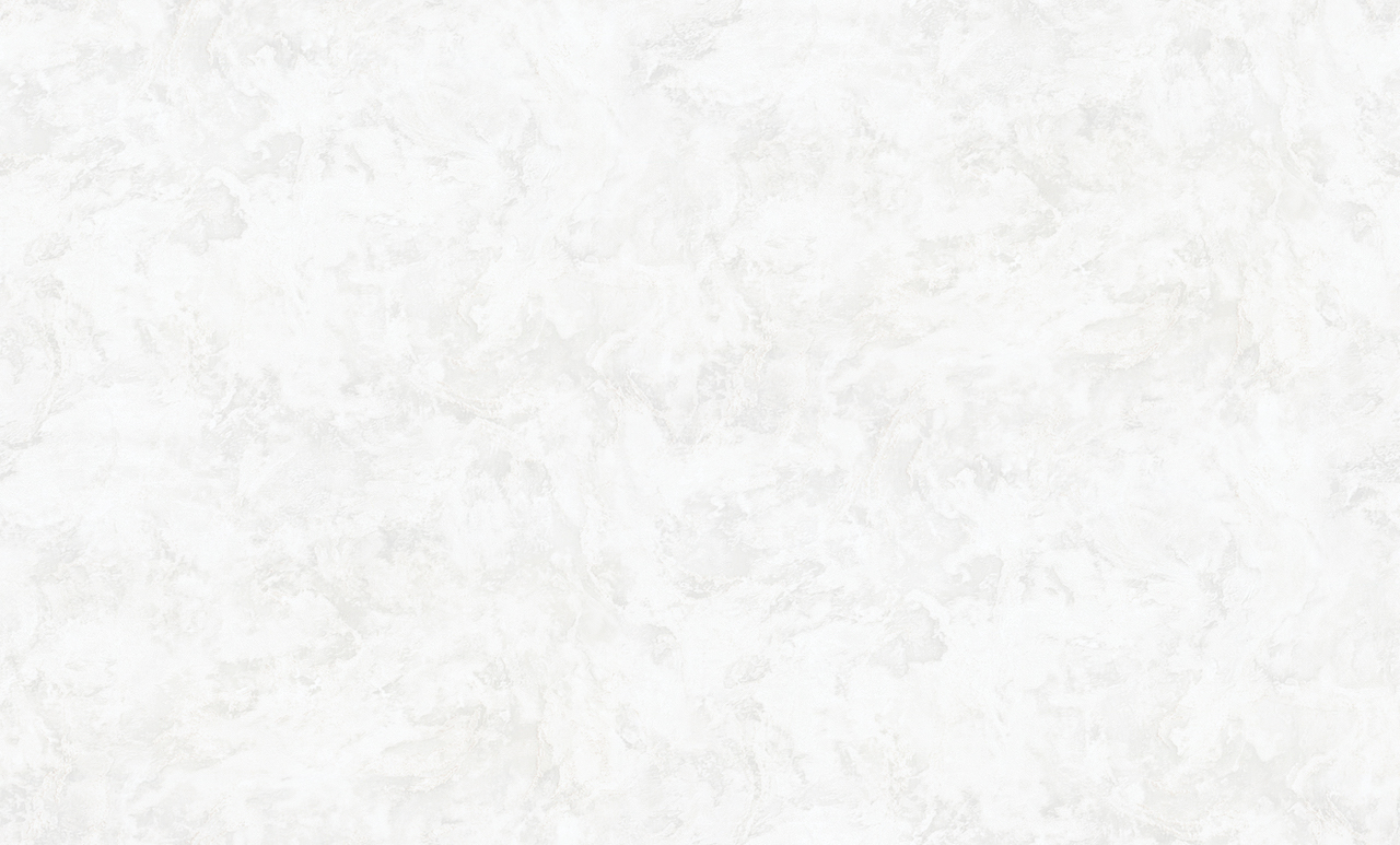 Обои Palitra Style арт SL72055-14 фото 1