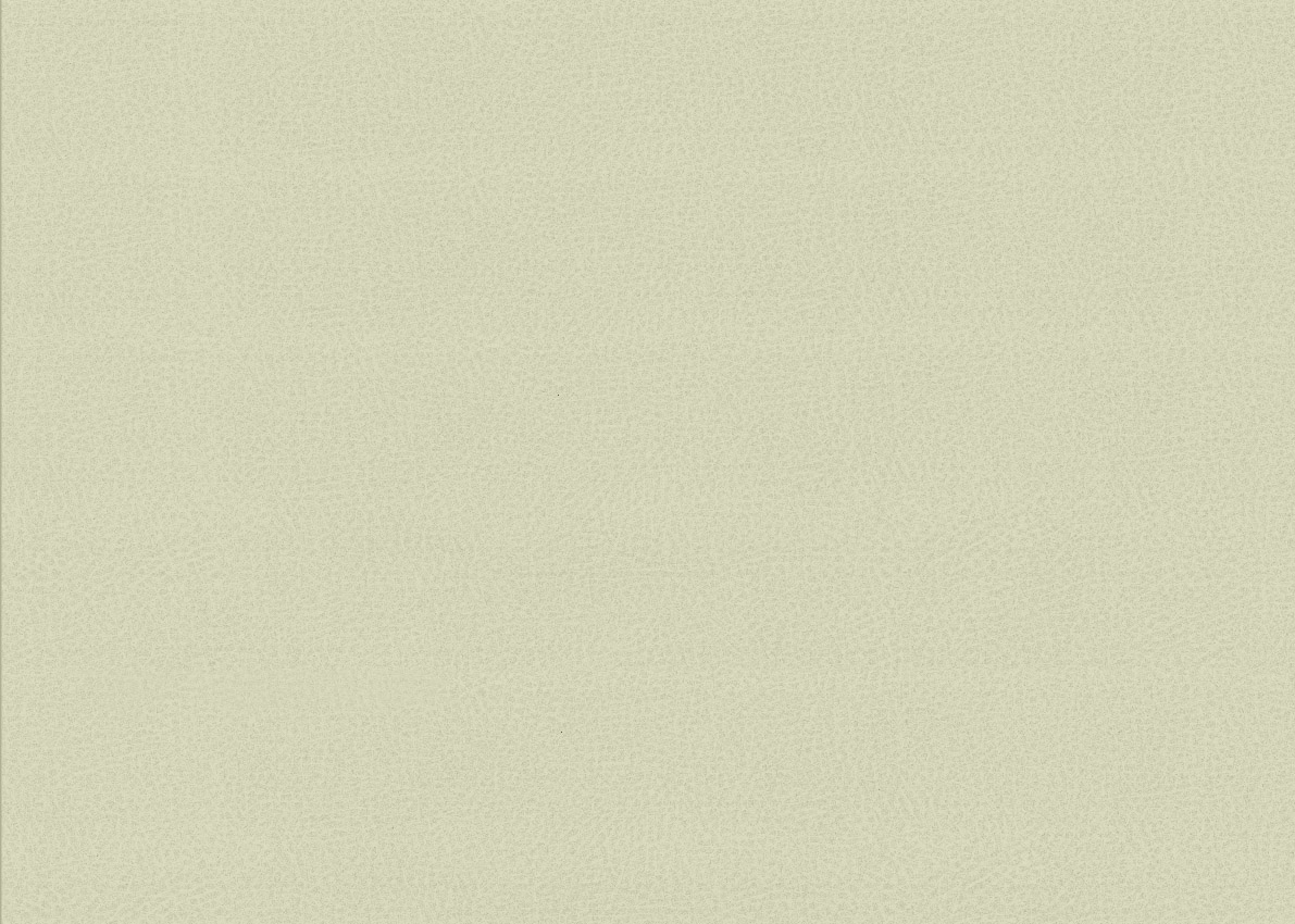 Обои Sirpi арт 1VV 25780 фото 1