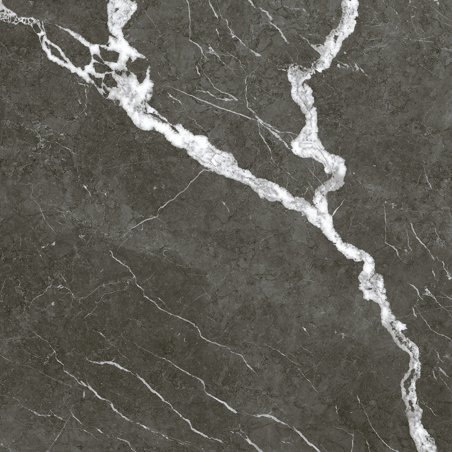 Керамогранит Coliseum арт Michelangelo Dark фото 1