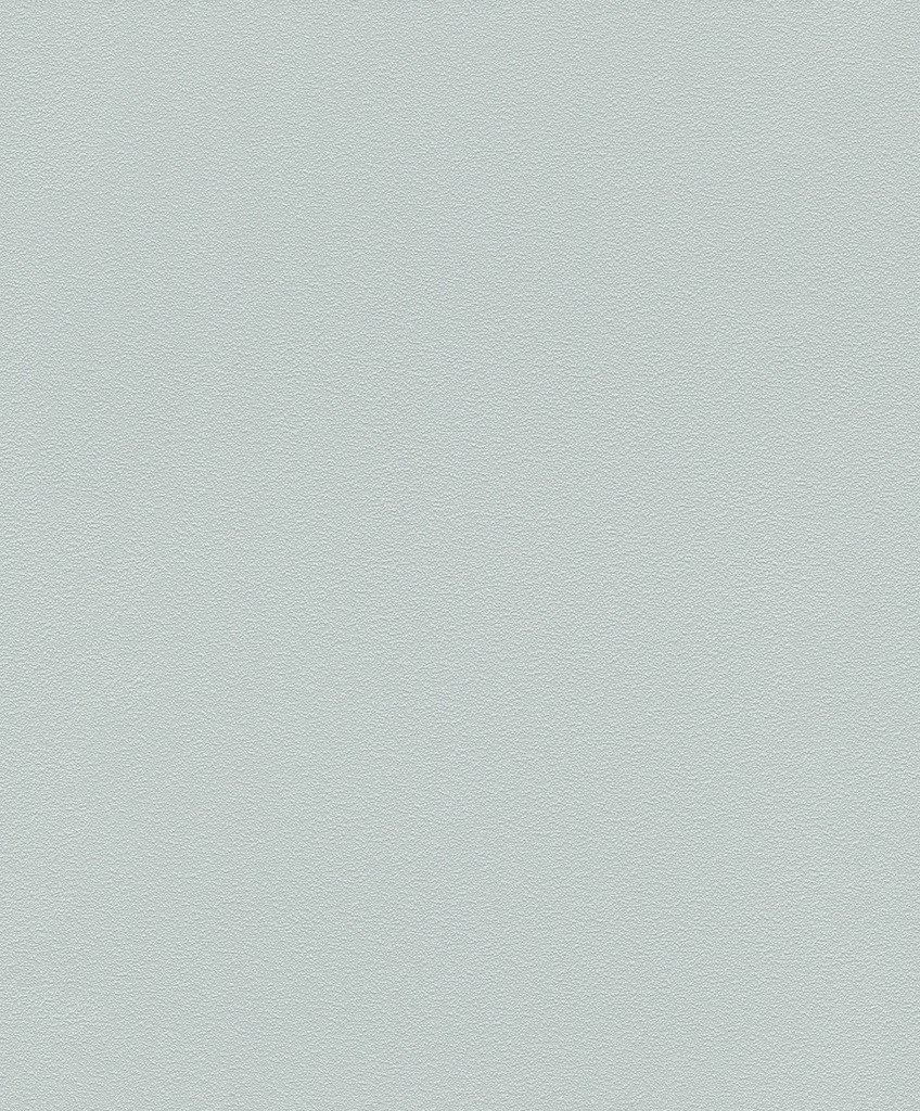 Обои Rasch арт 700671 фото 1