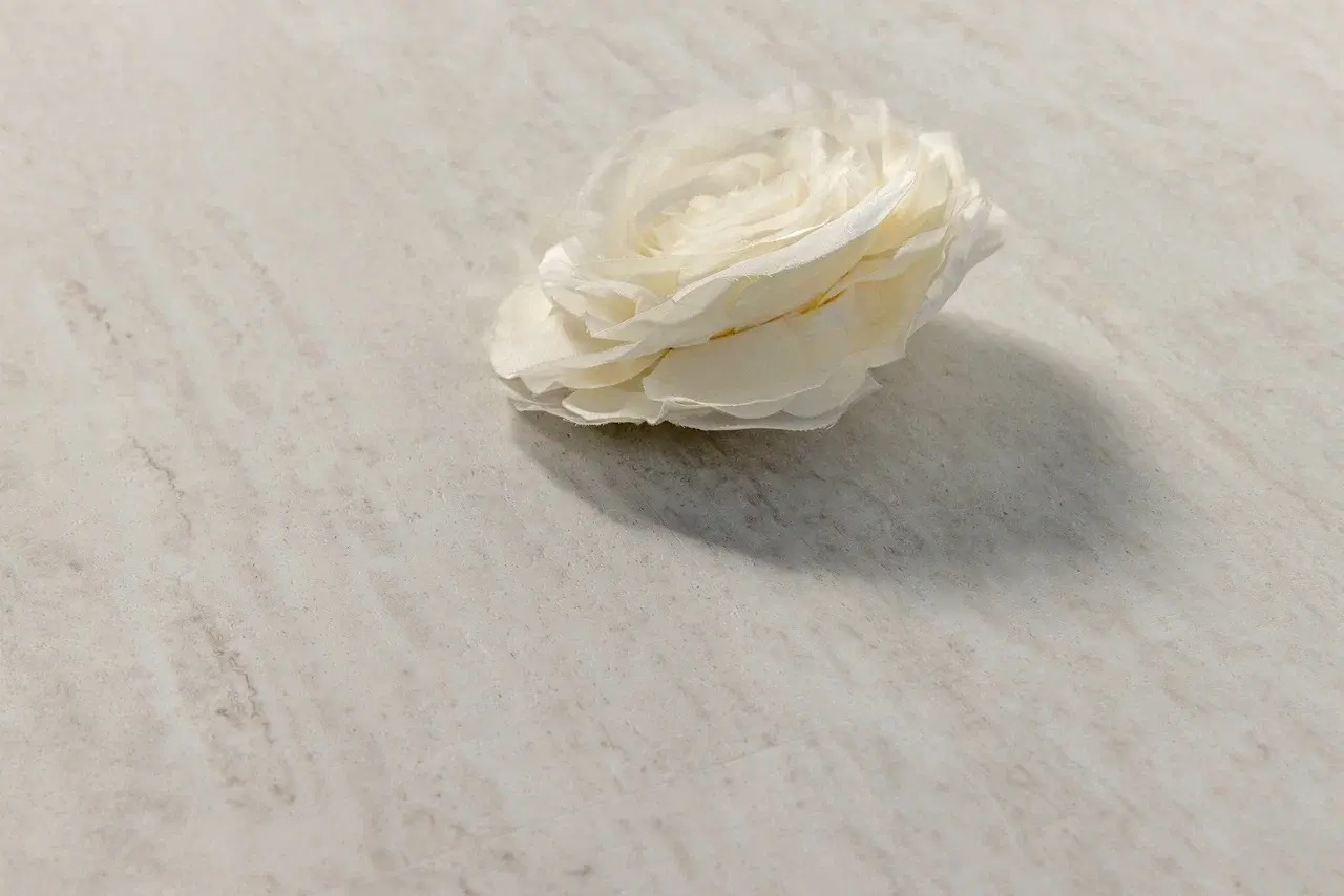 SPC Steinholz арт STH088M фото 2