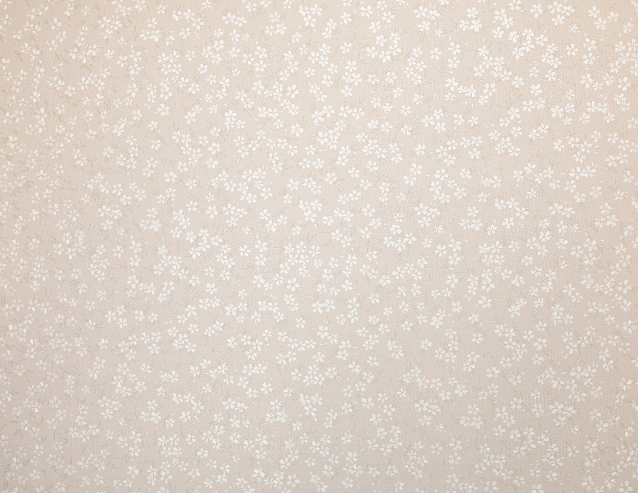 Обои Ateliero арт 587266 фото 5