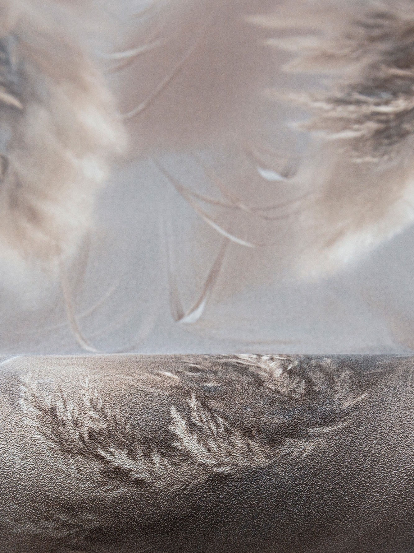 Обои WallSecret арт 9166-25 фото 5