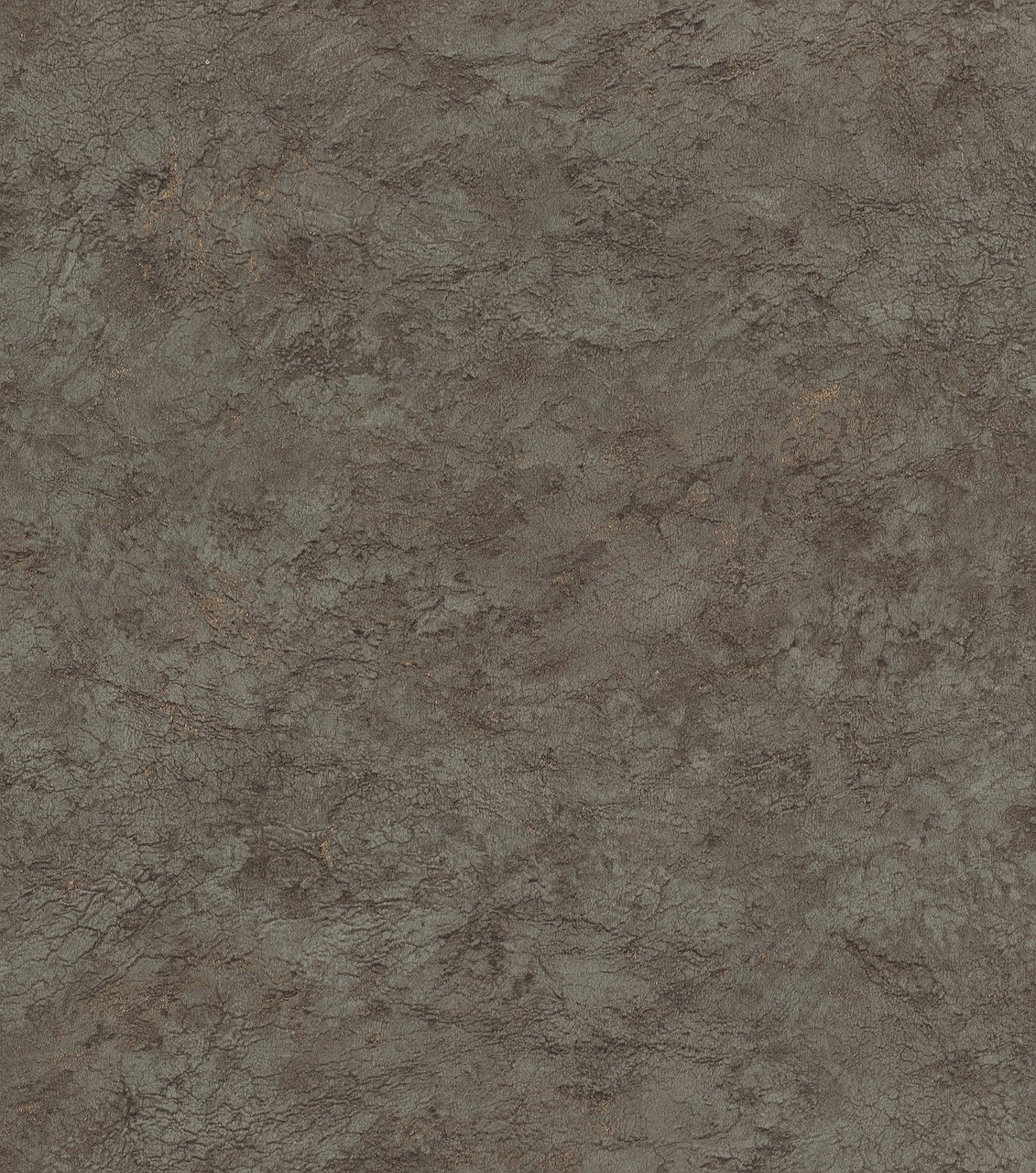 Обои Rasch арт 497564 фото 1