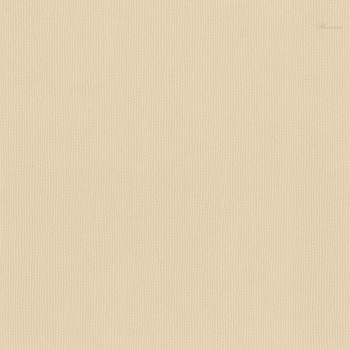 Обои Blumarine арт 31055BM фото 1