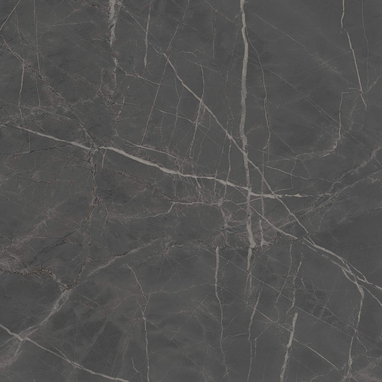Керамогранит Kerama Marazzi арт Буонарроти, темно-серый, 600x600 фото 1