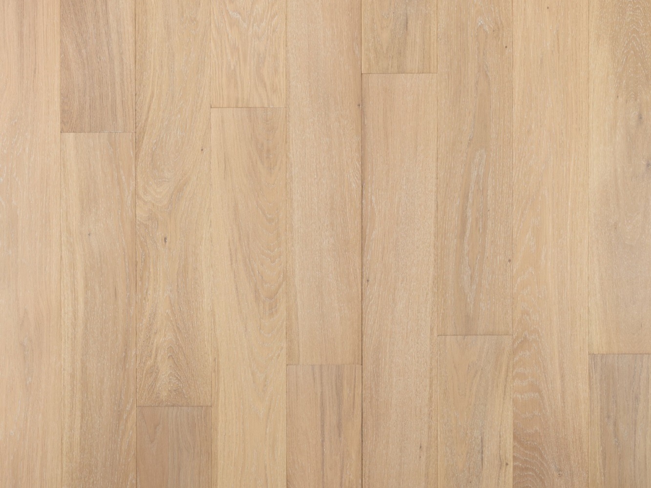 Инженерная доска Primavera арт 145x400-1300, Oak Disparo Натур фото 1