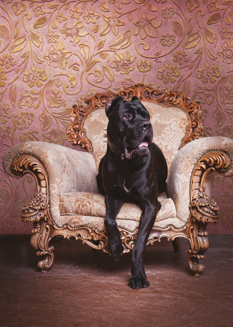 Фрески Affresco арт FabriKa19-6 pink фото 2