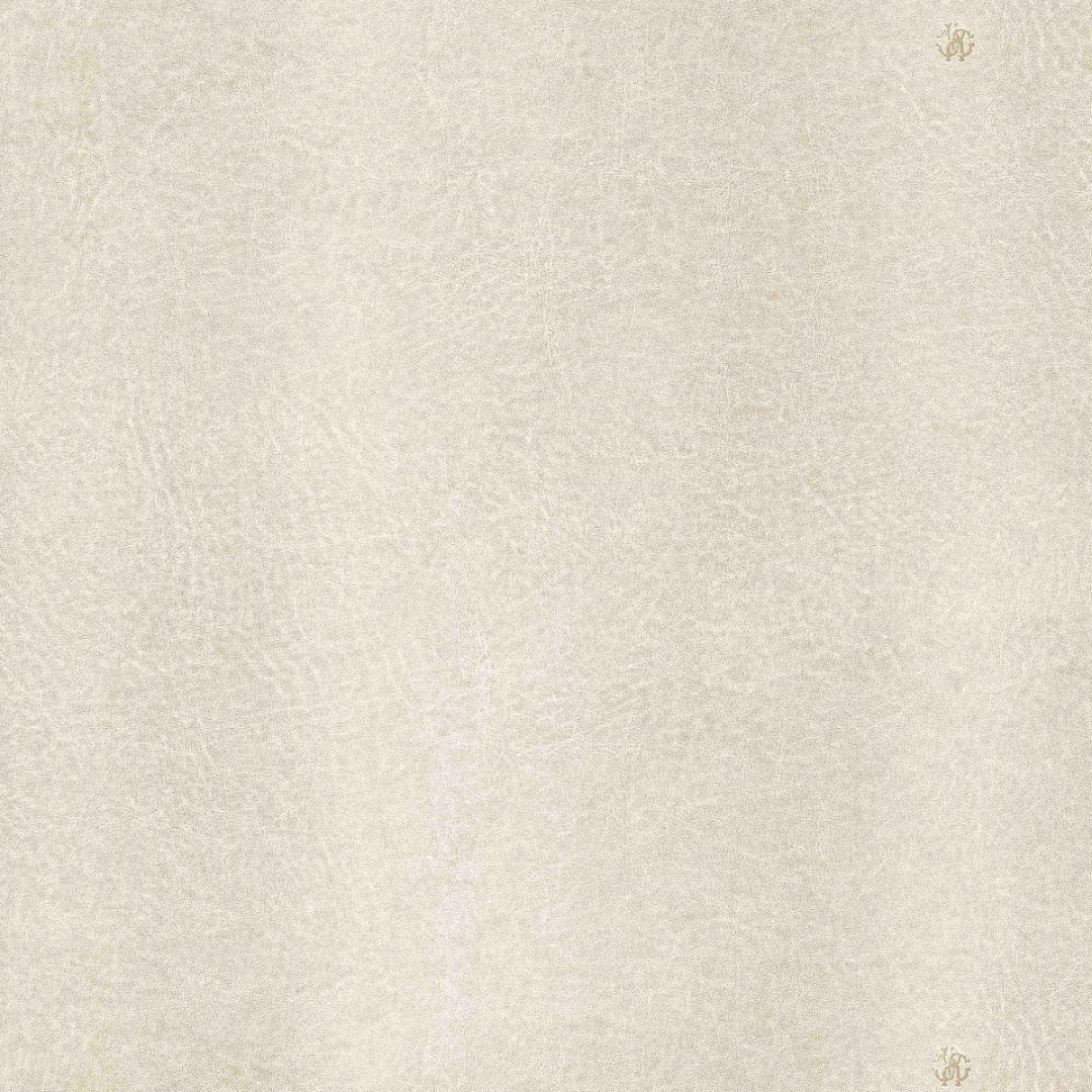 Обои Roberto Cavalli арт 17077RC фото 1
