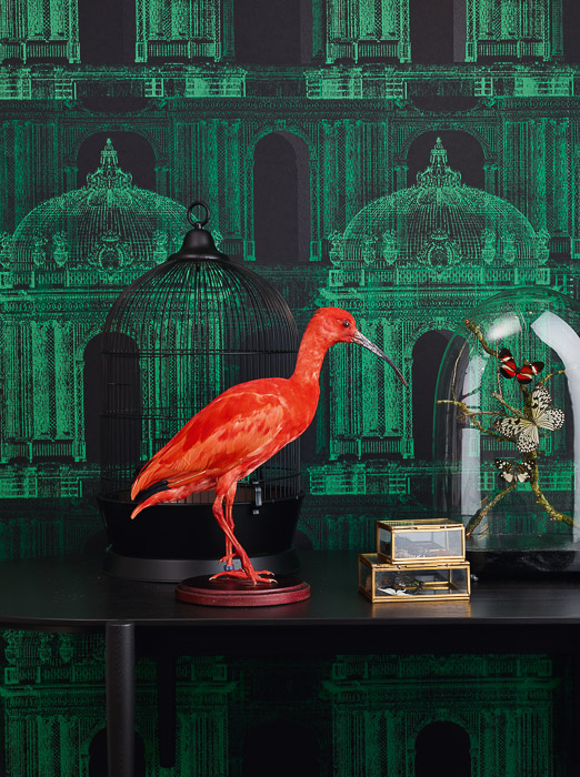 Обои Khroma арт GLA403 фото 2