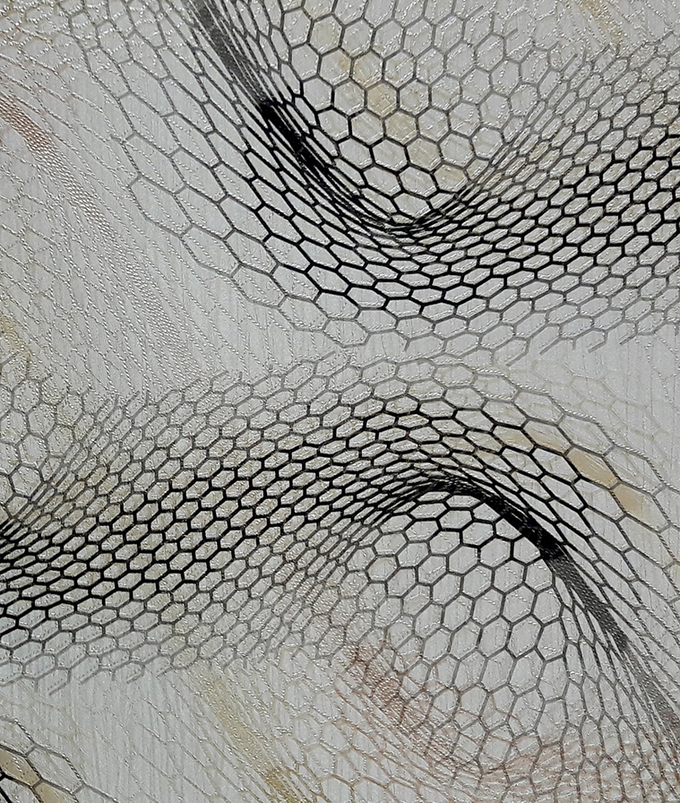 Обои Solo арт 79002-4 фото 1