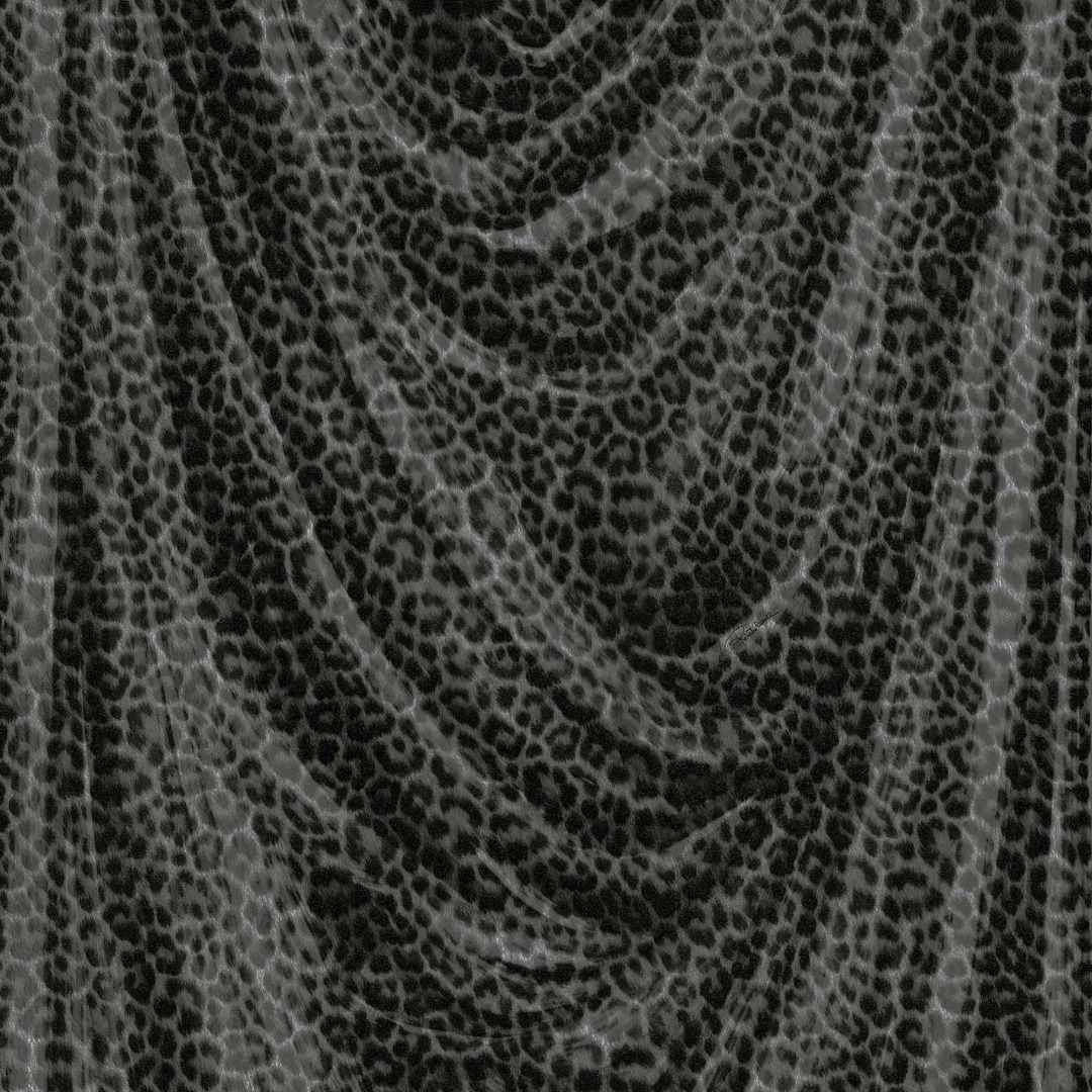 Обои Roberto Cavalli арт 16112RC фото 1