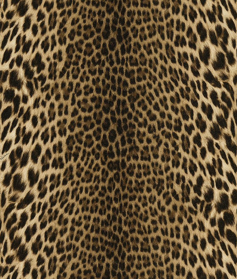 Обои Roberto Cavalli арт 18029 фото 1